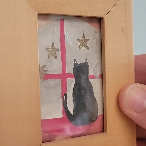 Cat Picture - Picture 2 of 4